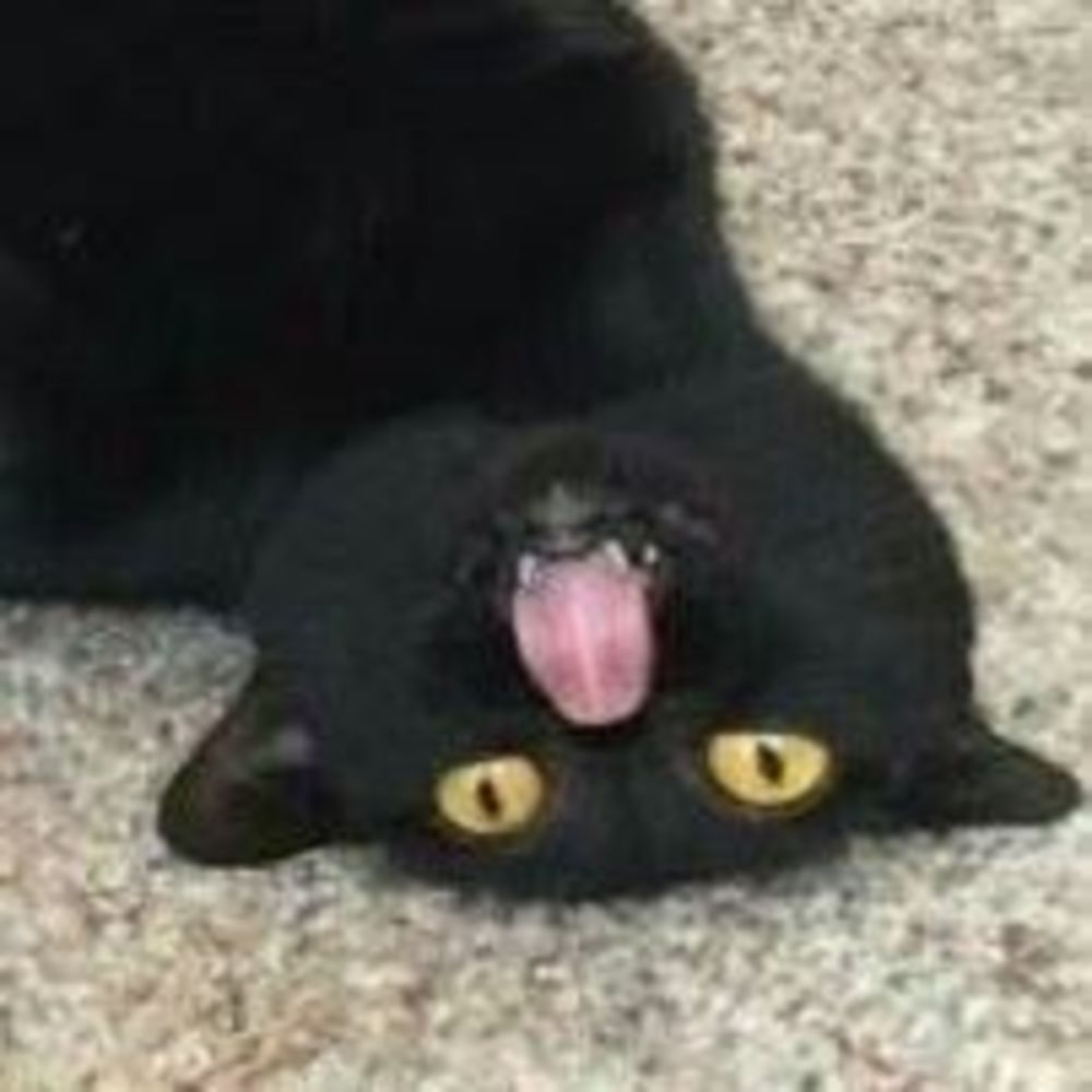 Meet your Posher, Krista